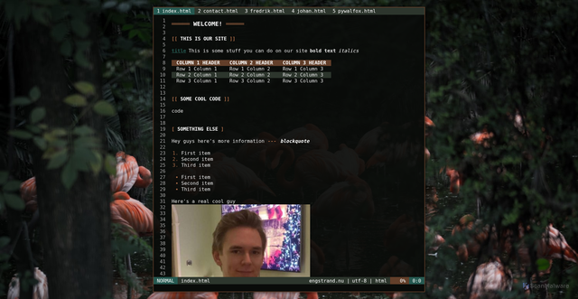 Security scan screenshot of https://engstrand.nu