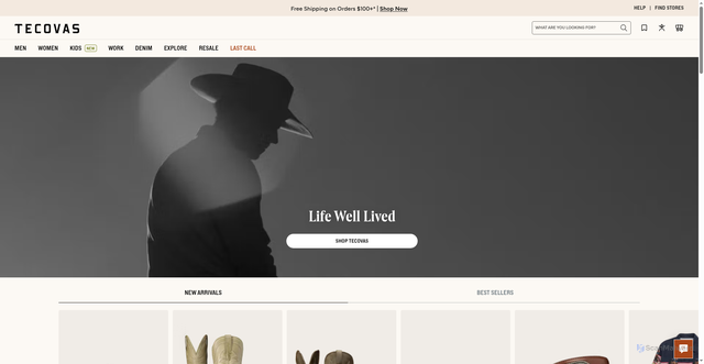 Security scan screenshot of https://www.tecovas.com