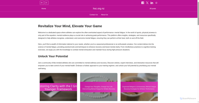 Security scan screenshot of https://hsc.org.nz/