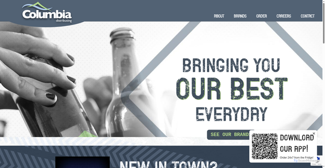 Security scan screenshot of https://www.coldist.com/