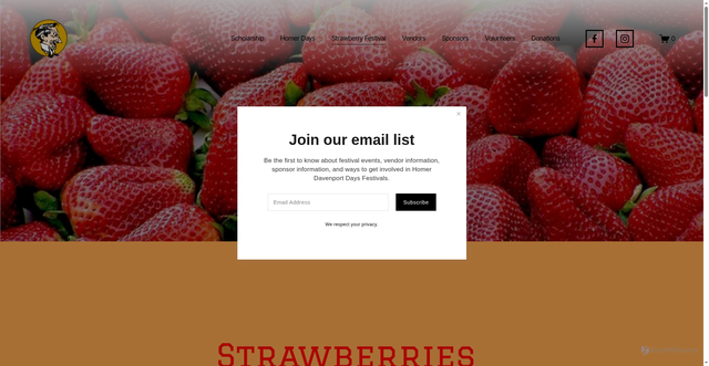 Security scan screenshot of https://www.homerdavenport.com/strawberry-festival