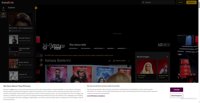 Security scan screenshot of https://thevoice.fandom.com/wiki/Kelsea_Ballerini
