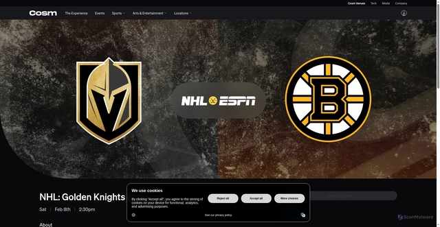 Security scan screenshot of https://cosm.com/dallas/events/nhl_golden_knights_gsc_2025_02_08_1430