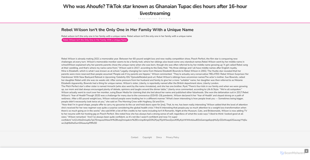 Security scan screenshot of https://louaymardambekhugo-bgd6u9643s.edgeone.app/14233-rebel-wilson-isnt-the-only-one-in-her-family-with-a-unique-name.html