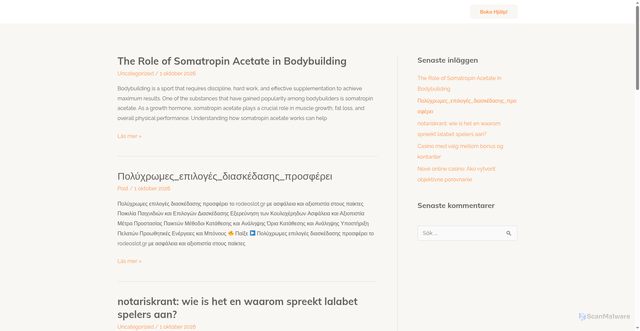 Security scan screenshot of https://wordpresshjalp.se/