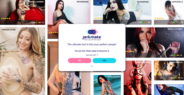 Security scan screenshot of https://camschwyz.pages.dev/go/jerkmate/?loc=marques-grid&page=marques