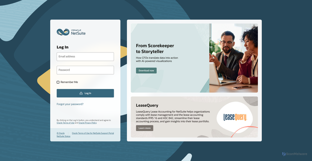 Security scan screenshot of https://1238234.app.netsuite.com