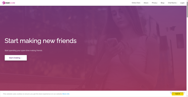 Security scan screenshot of https://meetyou.me