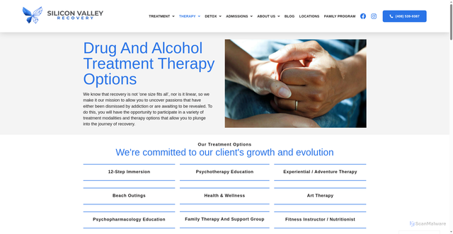 Security scan screenshot of https://siliconvalleyrecovery.com/treatment-therapy-options/