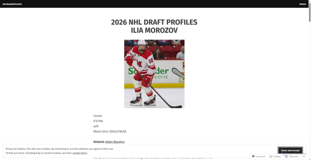 Security scan screenshot of https://hockeywiz777scouting.com/2025/12/15/2026-nhl-draft-profiles-ilia-morozov/