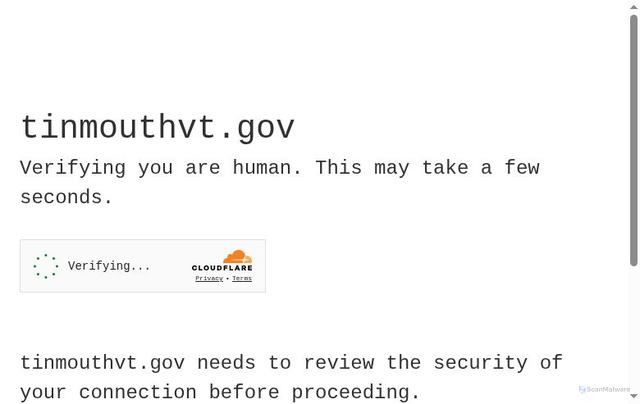 Security scan screenshot of https://tinmouthvt.gov/