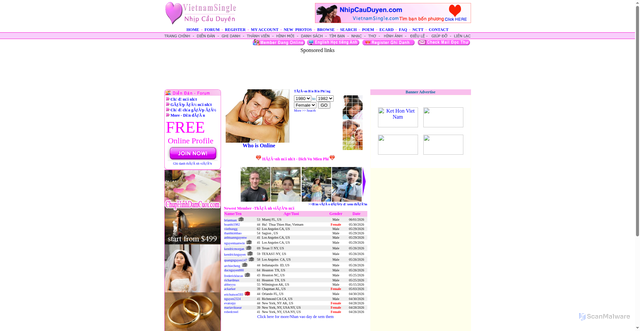 Security scan screenshot of https://vietnamsingle.com