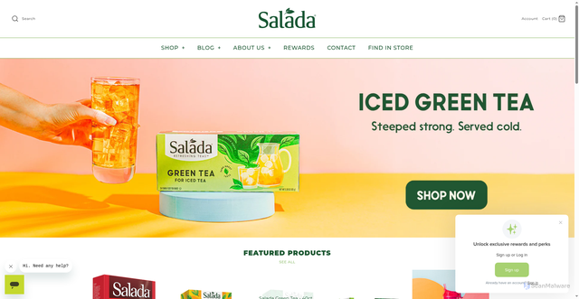 Security scan screenshot of https://salada.com