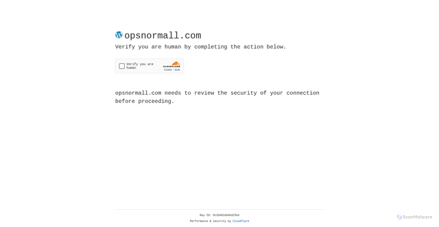 Security scan screenshot of https://opsnormall.com/?p=145
