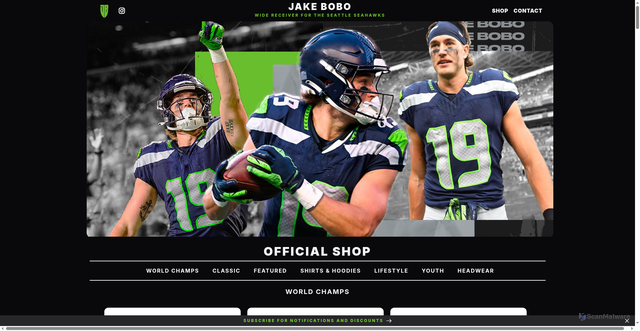 Security scan screenshot of https://jake-bobo.com/