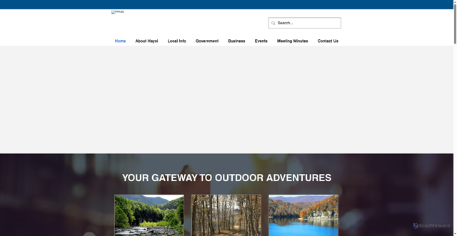 Security scan screenshot of https://www.haysivirginia.gov/