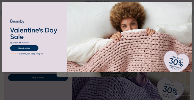 Security scan screenshot of https://bearaby.com