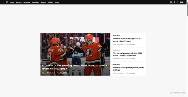 Security scan screenshot of https://pucksofafeather.com/