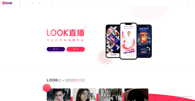 Security scan screenshot of https://api.look.163.com