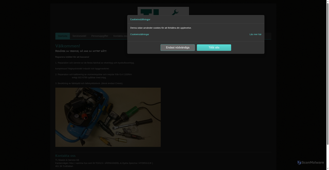 Security scan screenshot of https://tlms.se