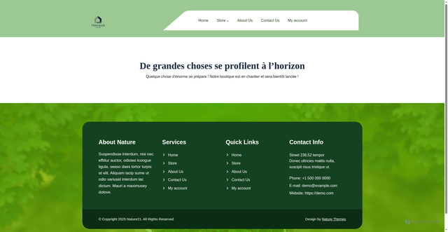 Security scan screenshot of https://travaux-loire.fr/product/mini-astrophytum/