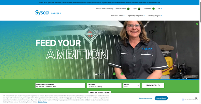 Security scan screenshot of https://careers.sysco.com/en