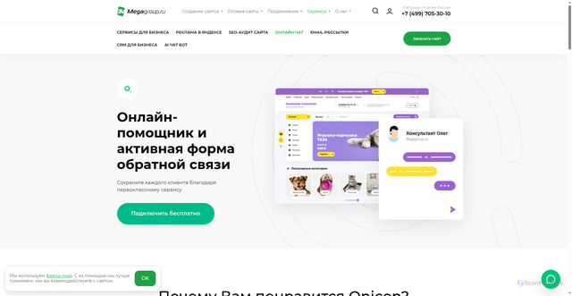 Security scan screenshot of https://onicon.ru