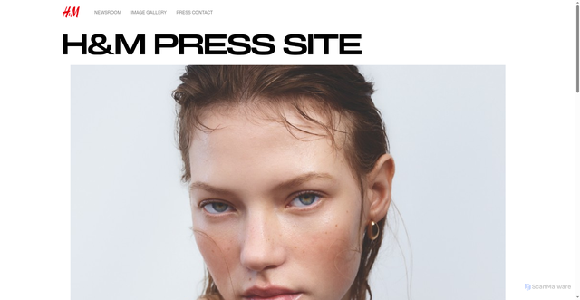 Security scan screenshot of https://press.hm.com/