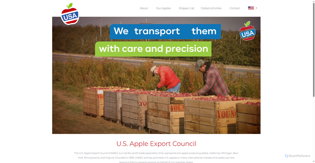 Security scan screenshot of http://usaapples.org/