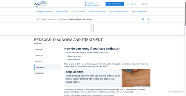 Security scan screenshot of https://www.aad.org/public/diseases/a-z/bed-bugs-treatment