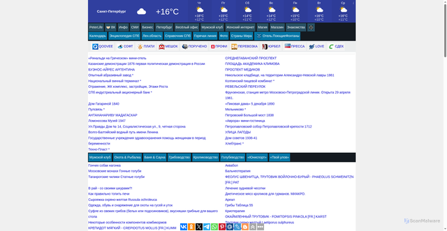 Security scan screenshot of https://peterlife.ru