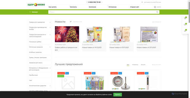 Security scan screenshot of https://zdoroveevo.ru