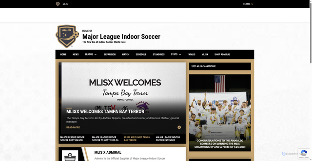 Security scan screenshot of https://www.mlispro.com/