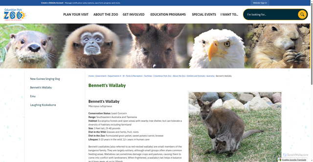 Security scan screenshot of https://lafayette.in.gov/1715/Bennetts-Wallaby