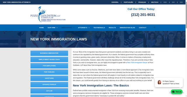 Security scan screenshot of https://www.pozogoldsteinny.com/new-york-immigration-laws/