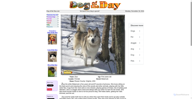 Security scan screenshot of https://www.dogoftheday.com/