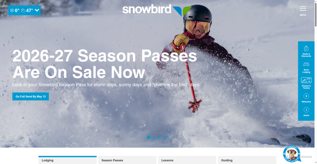 Security scan screenshot of https://api.snowbird.com
