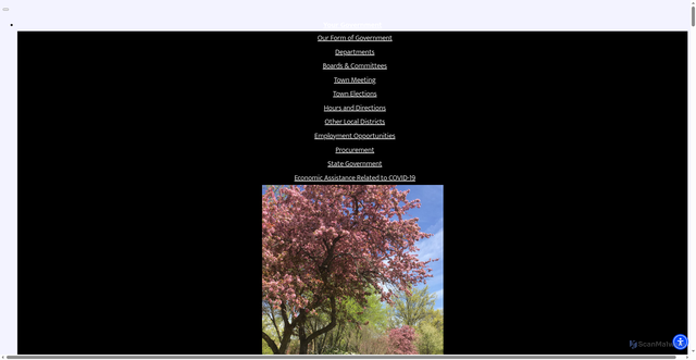 Security scan screenshot of https://montague-ma.gov/
