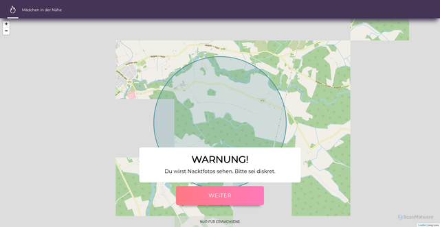 Security scan screenshot of http://11800811.xyz/L7Z