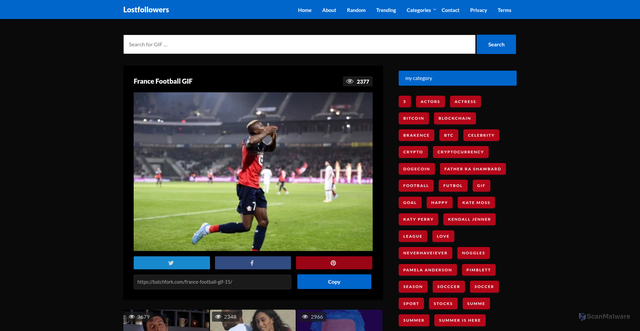 Security scan screenshot of https://batchfork.com/france-football-gif-15/