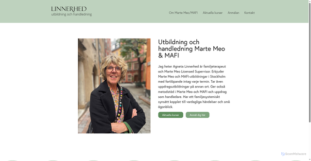 Security scan screenshot of https://linnerhed.se