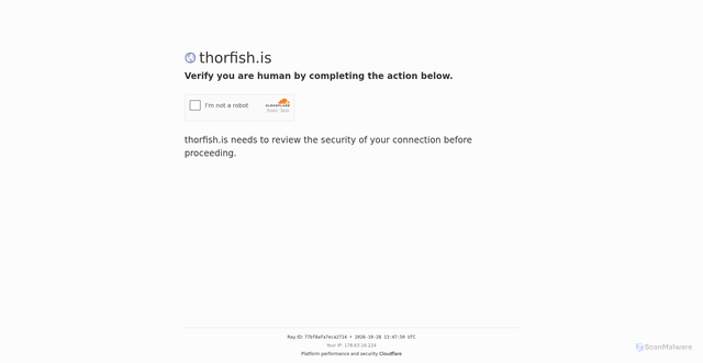 Security scan screenshot of https://thorfish.is/captcha.html