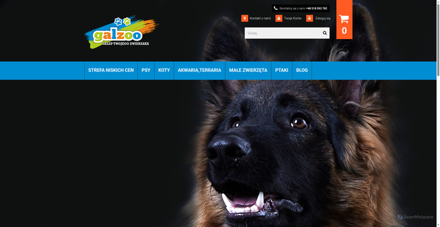 Security scan screenshot of https://galzoo.pl