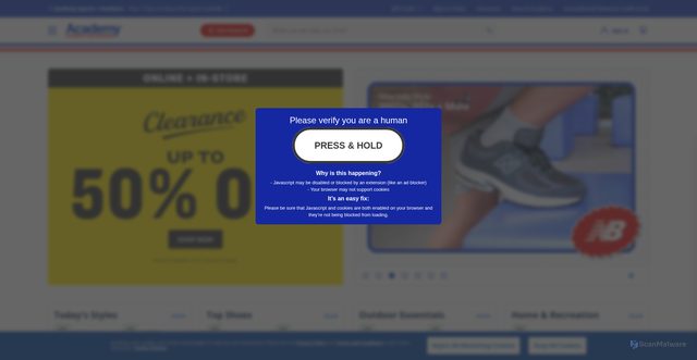 Security scan screenshot of https://academy.com