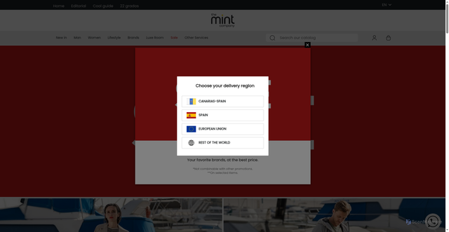 Security scan screenshot of https://www.themintcompany.com