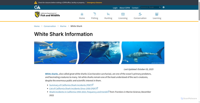 Security scan screenshot of https://wildlife.ca.gov/Conservation/Marine/White-Shark