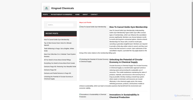 Security scan screenshot of https://kingnodchem.pages.dev/
