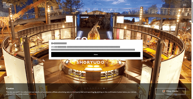 Security scan screenshot of https://shoryudo.go-centraljapan.jp