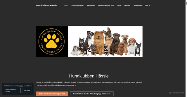 Security scan screenshot of https://hkhassle.se