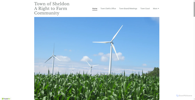 Security scan screenshot of https://townofsheldonny.gov/